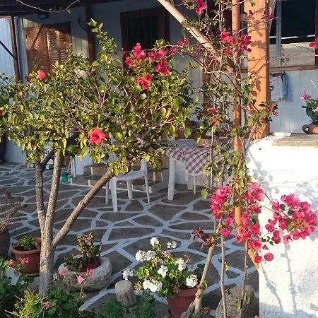 Traditional Country House In 펜션 Tínos